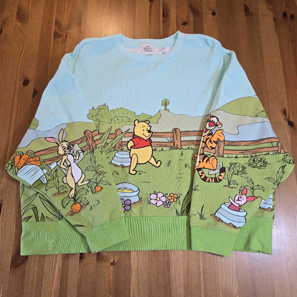 Disney Parks Winnie the Pooh Embroiderd And Printed Pullover Sweatshirt Size L